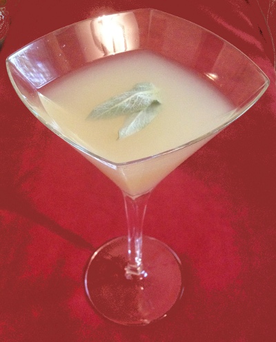 Jalisco Daisy cocktail