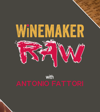 WINEMAKER RAW with Antonio Fattori
